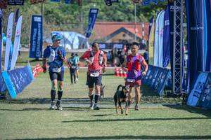 BIB: 
                            <button type="button" onclick="openModal(26793483)" class="btn btn-primary btn-sm float-right btn-popup" data-toggle="modal" data-target=".modal-high-quality">
                        <i class="fas fa-shopping-cart"></i> Add to Cart
                    </button>
                                            <button type="button" onclick="isThisMe(26793483, true)" class="btn btn-success btn-sm float-right btn-popup btn-isme hidden" data-toggle="tooltip" data-placement="bottom" title="นี่คือรูปของคุณใช่ไหม คลิกที่นี่เพื่อเอาเข้าอัลบั้ม">
                        <i class="fas fa-plus"></i> Add to album
                    </button>
                    <button type="button" onclick="isThisMe(26793483, false)" class="btn btn-warning btn-sm float-right btn-popup btn-isnotme hidden">
                        <i class="fas fa-ban"></i> Remove from album
                    </button>